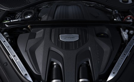 2021 Porsche Panamera 4 (Color: Truffle Brown Metallic) Engine Wallpapers 450x275 (23)