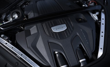 2021 Porsche Panamera 4 (Color: Truffle Brown Metallic) Engine Wallpapers 450x275 (24)