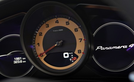 2021 Porsche Panamera 4 (Color: Truffle Brown Metallic) Instrument Cluster Wallpapers 450x275 (32)