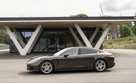2021 Porsche Panamera 4 (Color: Truffle Brown Metallic) Side Wallpapers 450x275 (11)