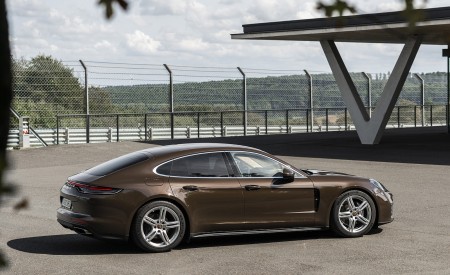 2021 Porsche Panamera 4 (Color: Truffle Brown Metallic) Side Wallpapers 450x275 (18)