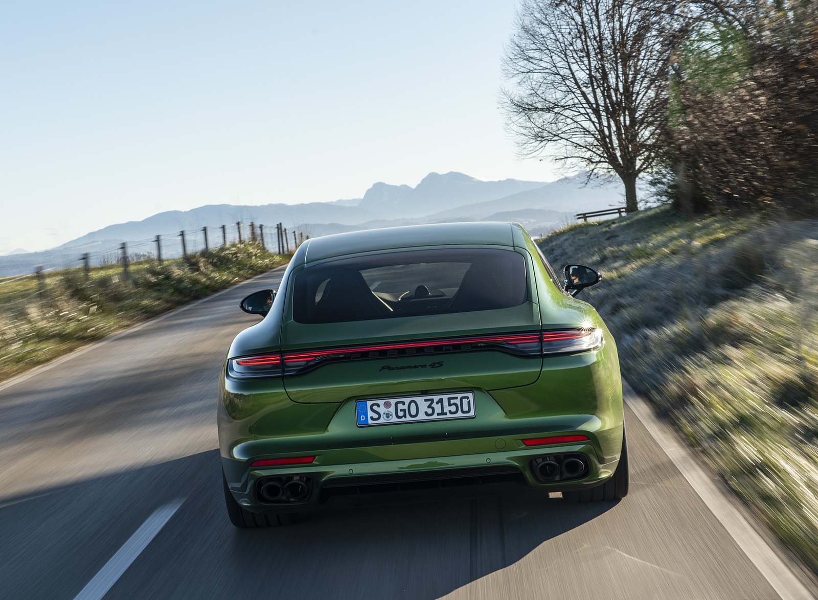 2021 Porsche Panamera 4S (Color: Mamba Green Metallic) Rear Wallpapers (12)