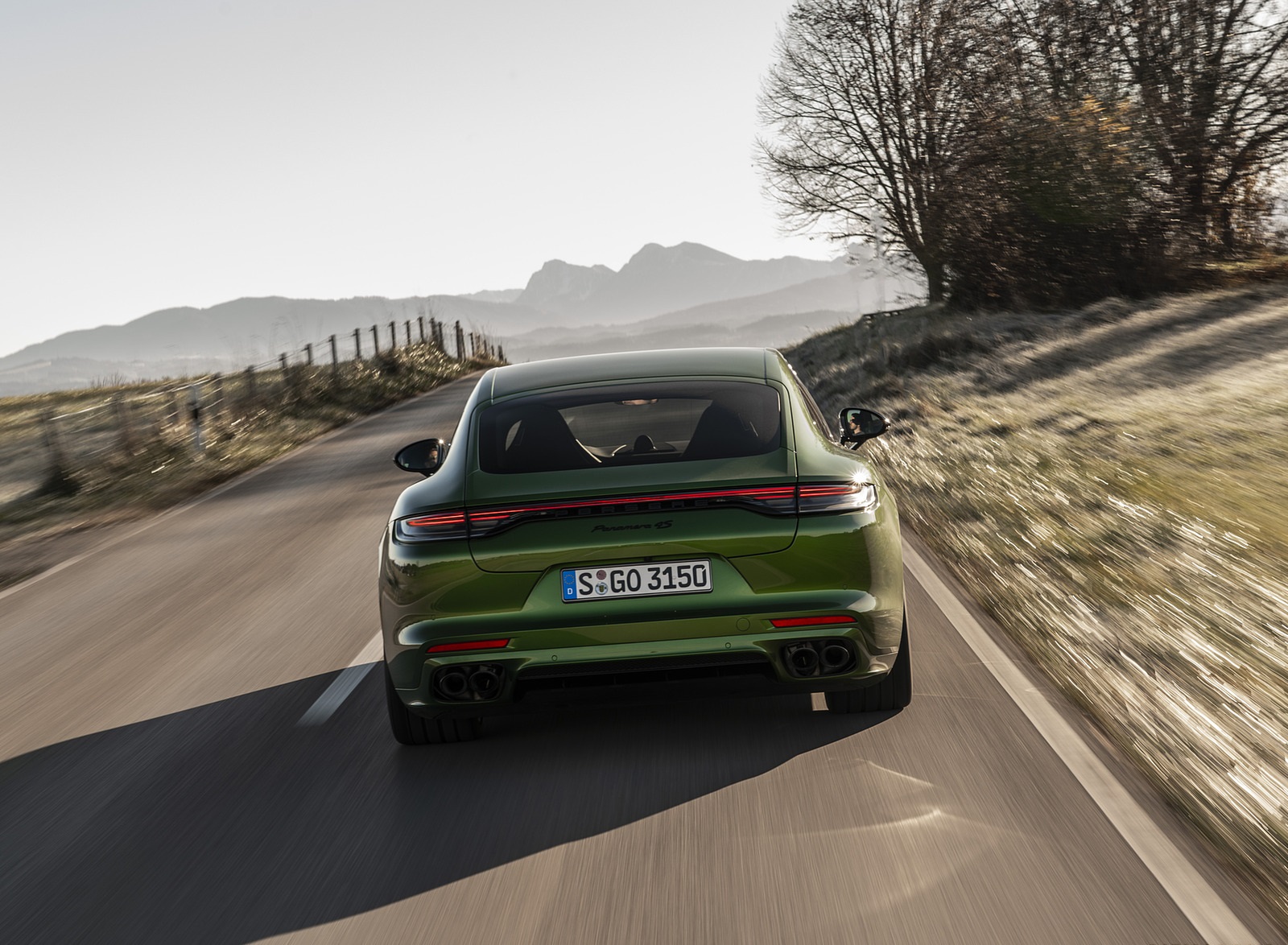 2021 Porsche Panamera 4S (Color: Mamba Green Metallic) Rear Wallpapers (13)
