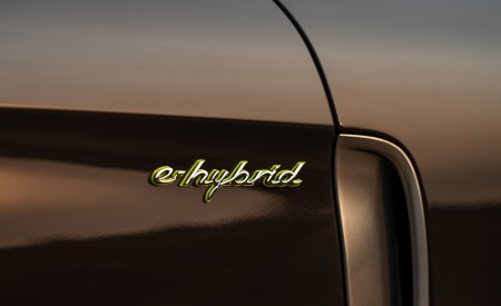 2021 Porsche Panamera 4S E-Hybrid (Color: Truffle Brown Metallic) Badge Wallpapers 450x275 (23)