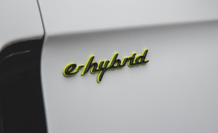2021 Porsche Panamera 4S E-Hybrid (US-Spec) Badge Wallpapers  450x275 (68)