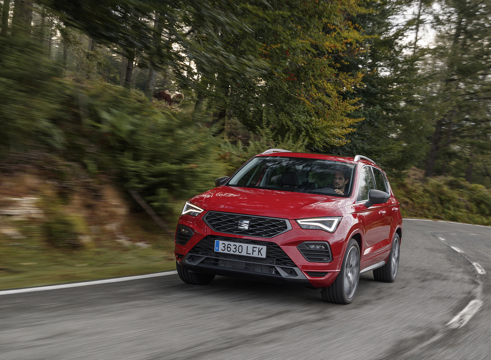 2021 SEAT Ateca Front Wallpapers  (3)
