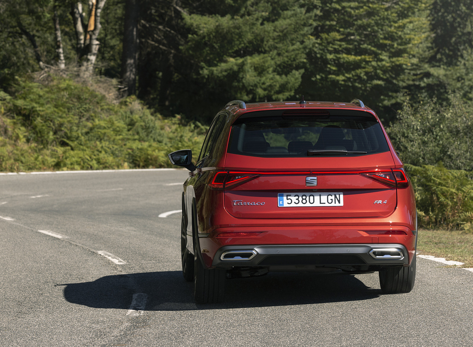 2021 SEAT Tarraco FR Rear Wallpapers (15)