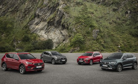 2021 SEAT Tarraco FR Wallpapers 450x275 (25)