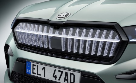 2021 Škoda ENYAQ iV Founders Edition Grill Wallpapers  450x275 (133)