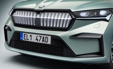 2021 Škoda ENYAQ iV Founders Edition Grill Wallpapers 450x275 (132)