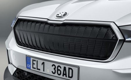 2021 Škoda ENYAQ iV Grill Wallpapers  450x275 (91)