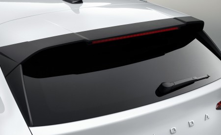 2021 Škoda ENYAQ iV Spoiler Wallpapers 450x275 (103)