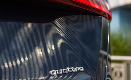 2020 Audi e-tron Sportback S-Line (US-Spec) Detail Wallpapers  450x275 (48)