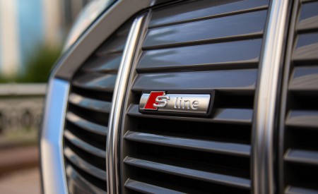 2020 Audi e-tron Sportback S-Line (US-Spec) Grille Wallpapers  450x275 (34)