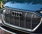 2020 Audi e-tron Sportback S-Line (US-Spec) Grille Wallpapers 150x120 (26)