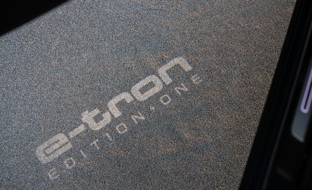 2020 Audi e-tron Sportback S-Line (US-Spec) Ground Projection Wallpapers 450x275 (52)