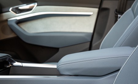 2020 Audi e-tron Sportback S-Line (US-Spec) Interior Detail Wallpapers 450x275 (60)