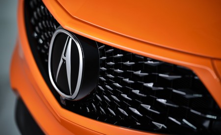 2021 Acura RDX PMC Edition Grill Wallpapers 450x275 (9)