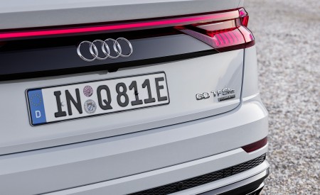 2021 Audi Q8 TFSI e Plug-In Hybrid (Color: Glacier White) Detail Wallpapers 450x275 (22)