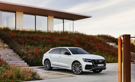 2021 Audi Q8 TFSI e Plug-In Hybrid (Color: Glacier White) Front Three-Quarter Wallpapers  450x275 (9)