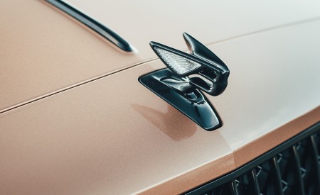 2021 Bentley Flying Spur V8 Detail Wallpapers 450x275 (70)