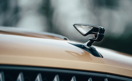 2021 Bentley Flying Spur V8 Detail Wallpapers 450x275 (69)