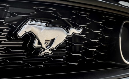 2021 Ford Mustang Mach 1 (EU-Spec) (Color: Fighter Jet Gray) Badge Wallpapers 450x275 (82)