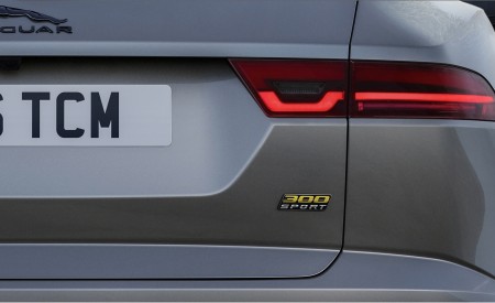2021 Jaguar E-PACE Tail Light Wallpapers 450x275 (41)