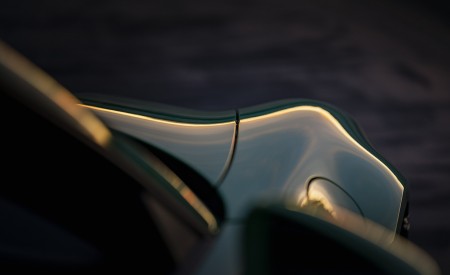 2021 Porsche 911 Turbo Cabrio (Color: Python Green) Detail Wallpapers 450x275 (44)