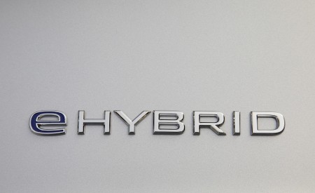 2021 Volkswagen Touareg eHybrid Badge Wallpapers 450x275 (28)