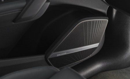 2021 Audi SQ5 TDI (UK-Spec) Interior Detail Wallpapers  450x275 (68)