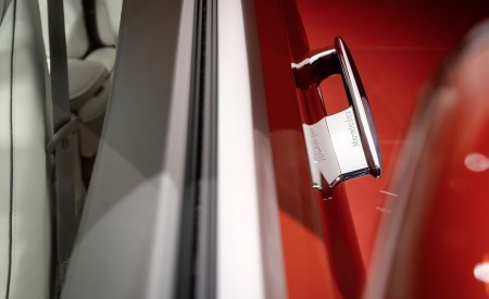 2021 Mercedes-Maybach S-Class (Color: Designo Patagonian Rot Bright) Detail Wallpapers 450x275 (125)