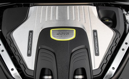 2021 Porsche Panamera 4 E-Hybrid (Color: Cherry Metallic) Engine Wallpapers 450x275 (35)