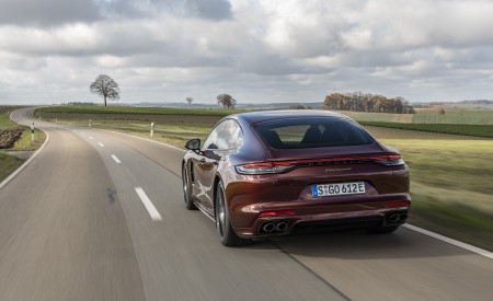 2021 Porsche Panamera 4 E-Hybrid (Color: Cherry Metallic) Rear Wallpapers 450x275 (17)