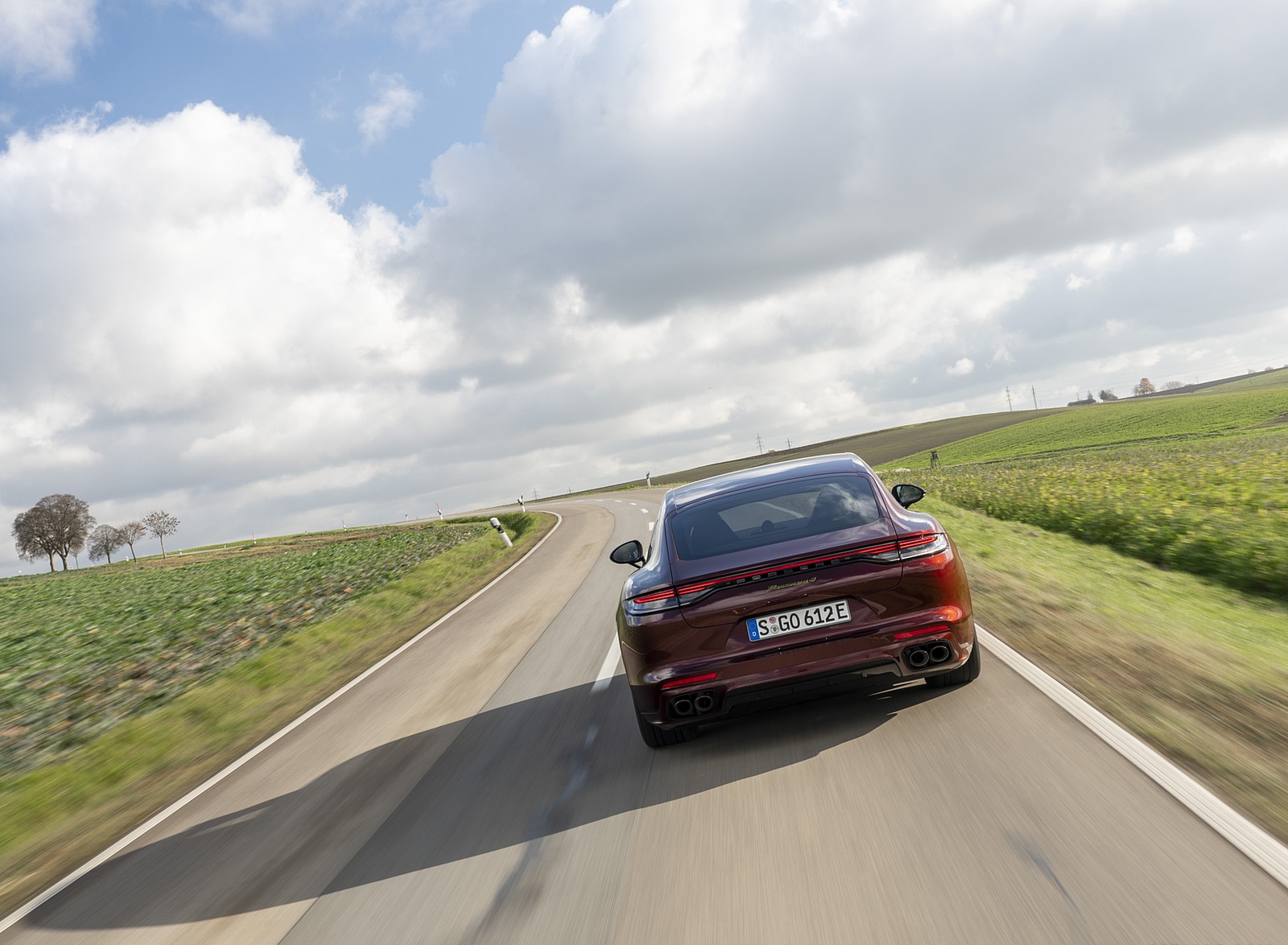 2021 Porsche Panamera 4 E-Hybrid (Color: Cherry Metallic) Rear Wallpapers (7)