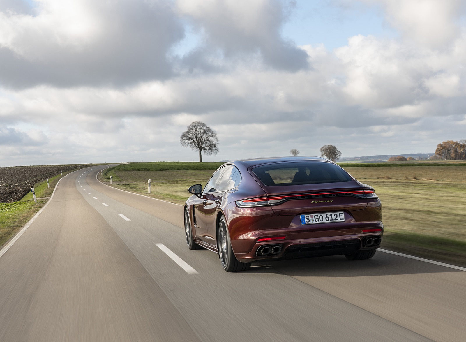 2021 Porsche Panamera 4 E-Hybrid (Color: Cherry Metallic) Rear Wallpapers (8)