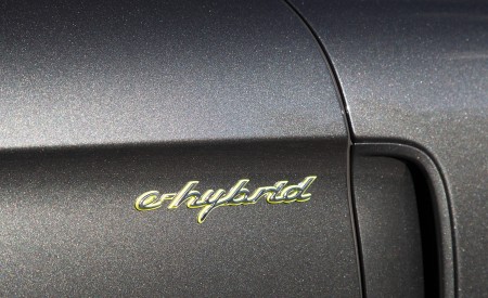 2021 Porsche Panamera Turbo S E-Hybrid Executive (Color: Volcano Grey Metallic) Badge Wallpapers 450x275 (18)