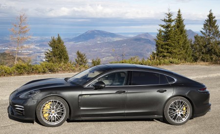 2021 Porsche Panamera Turbo S E-Hybrid Executive (Color: Volcano Grey Metallic) Side Wallpapers 450x275 (16)