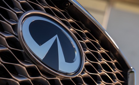 2022 Infiniti QX55 Badge Wallpapers 450x275 (24)