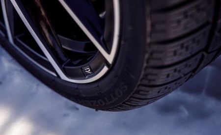 2022 Volkswagen Golf R Detail Wallpapers  450x275 (40)