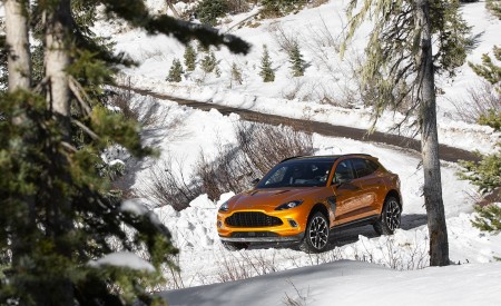 2021 Aston Martin DBX (Golden Saffron; US-Spec) Front Three-Quarter Wallpapers 450x275 (13)