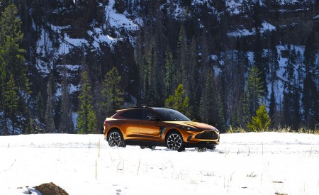 2021 Aston Martin DBX (Golden Saffron; US-Spec) Front Three-Quarter Wallpapers 450x275 (16)