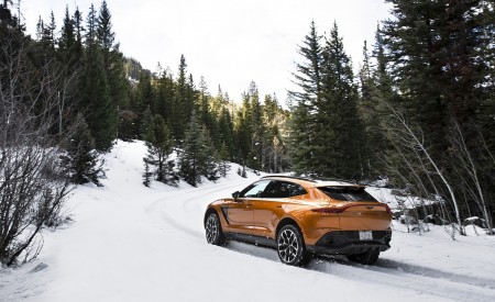 2021 Aston Martin DBX (Golden Saffron; US-Spec) Rear Three-Quarter Wallpapers  450x275 (18)