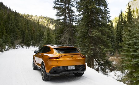 2021 Aston Martin DBX (Golden Saffron; US-Spec) Rear Three-Quarter Wallpapers 450x275 (9)