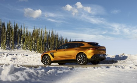 2021 Aston Martin DBX (Golden Saffron; US-Spec) Rear Three-Quarter Wallpapers 450x275 (31)