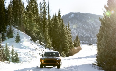 2021 Aston Martin DBX (Golden Saffron; US-Spec) Rear Wallpapers  450x275 (20)