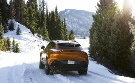 2021 Aston Martin DBX (Golden Saffron; US-Spec) Rear Wallpapers 450x275 (21)