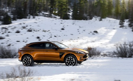 2021 Aston Martin DBX (Golden Saffron; US-Spec) Side Wallpapers 450x275 (33)