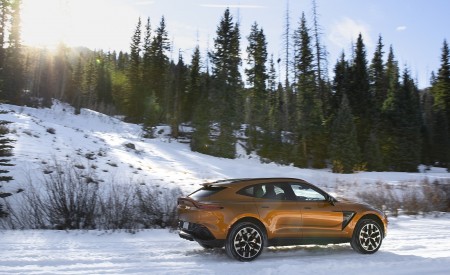 2021 Aston Martin DBX (Golden Saffron; US-Spec) Side Wallpapers 450x275 (22)