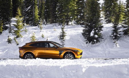 2021 Aston Martin DBX (Golden Saffron; US-Spec) Side Wallpapers 450x275 (11)